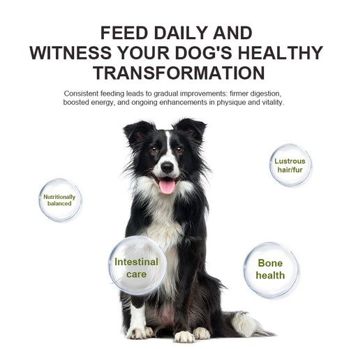 Canine 3‑in‑1 Total Wellness Bundle products included in the set
