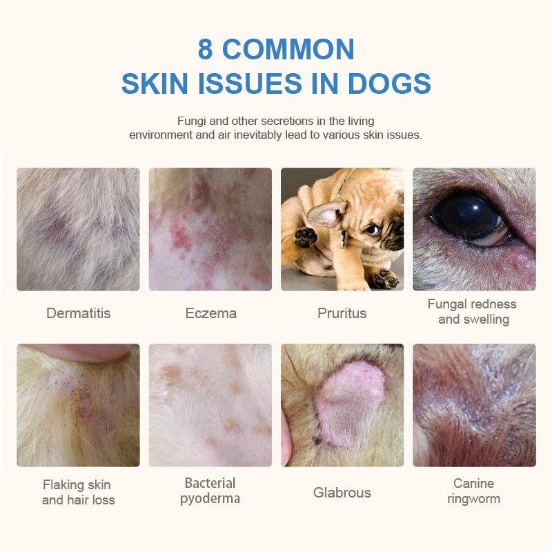 Purebreds Skin Care Prescription Dog Food feeding guide