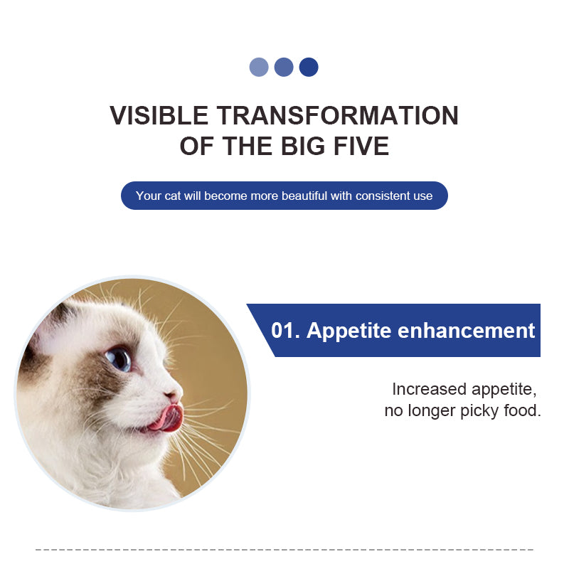 Feline Multivitamin Amino Acid & Trace Element Supplement 21g
