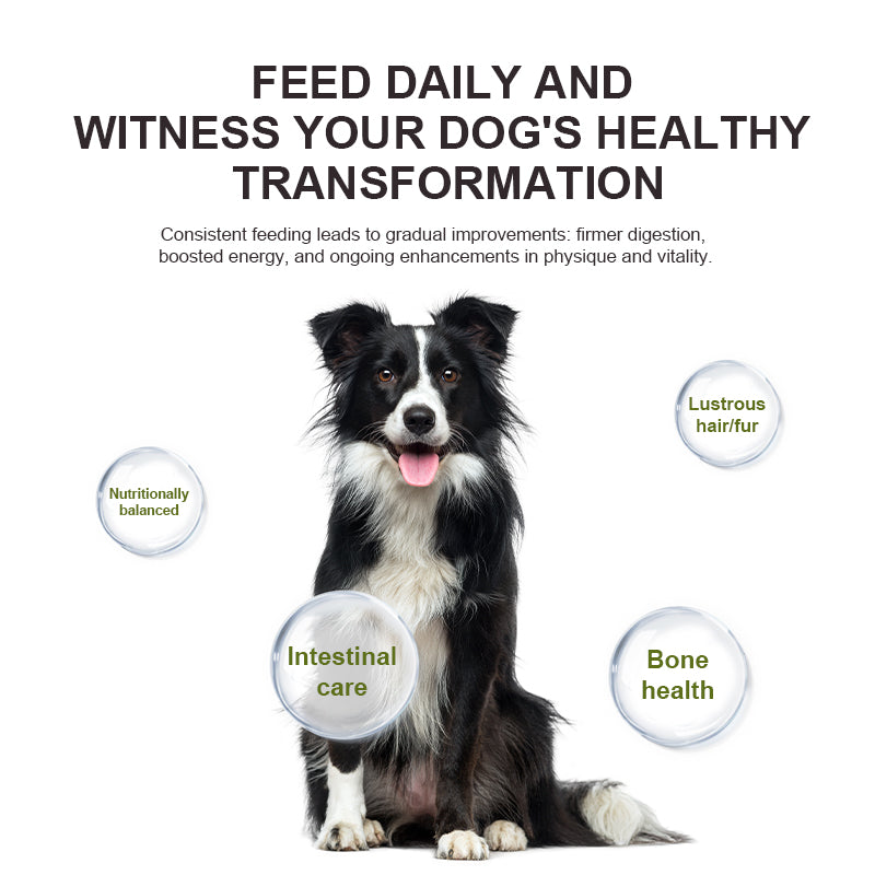 Canine Multivitamin Amino Acid & Trace Element Supplement 21g