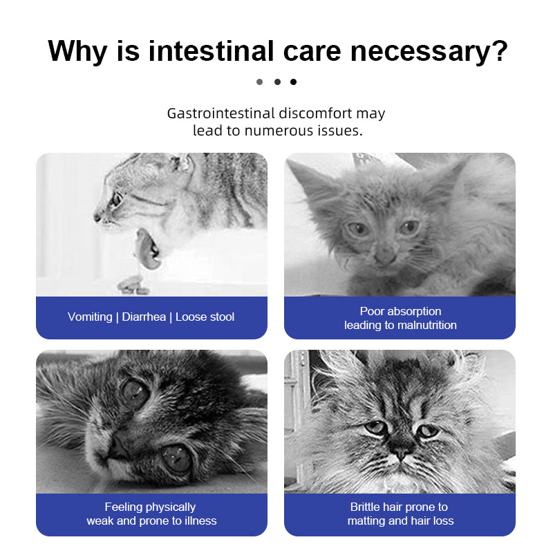Purebreds Complete Prescription Diet Intestinal Care Prescription Cat Food feeding guide