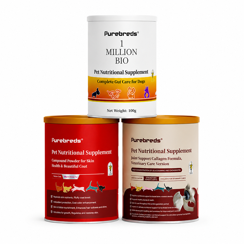 Dog Daily Health Essentials Bundle – Gut, Skin & Bone Support Supplement Set complete product set