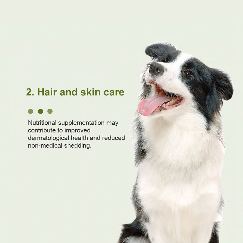 Canine Multivitamin Amino Acid & Trace Element Supplement 21g