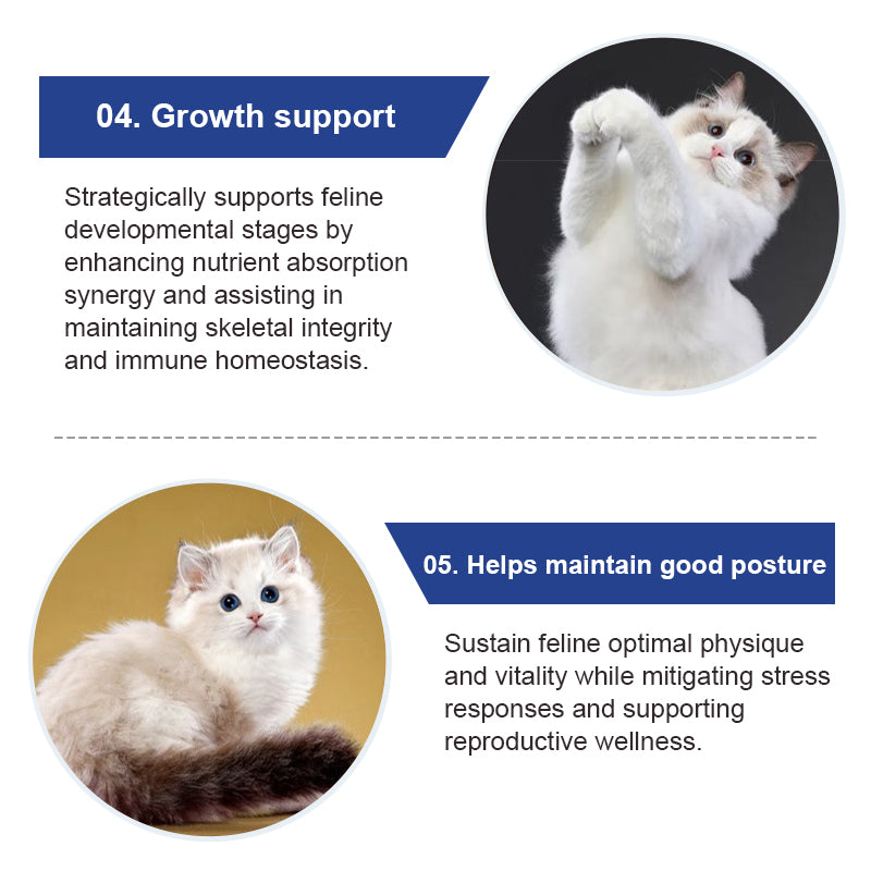 Feline Multivitamin Amino Acid & Trace Element Supplement 80g