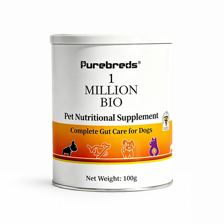Probiotic & Prebiotic Gut Support Powder for Dogs。
