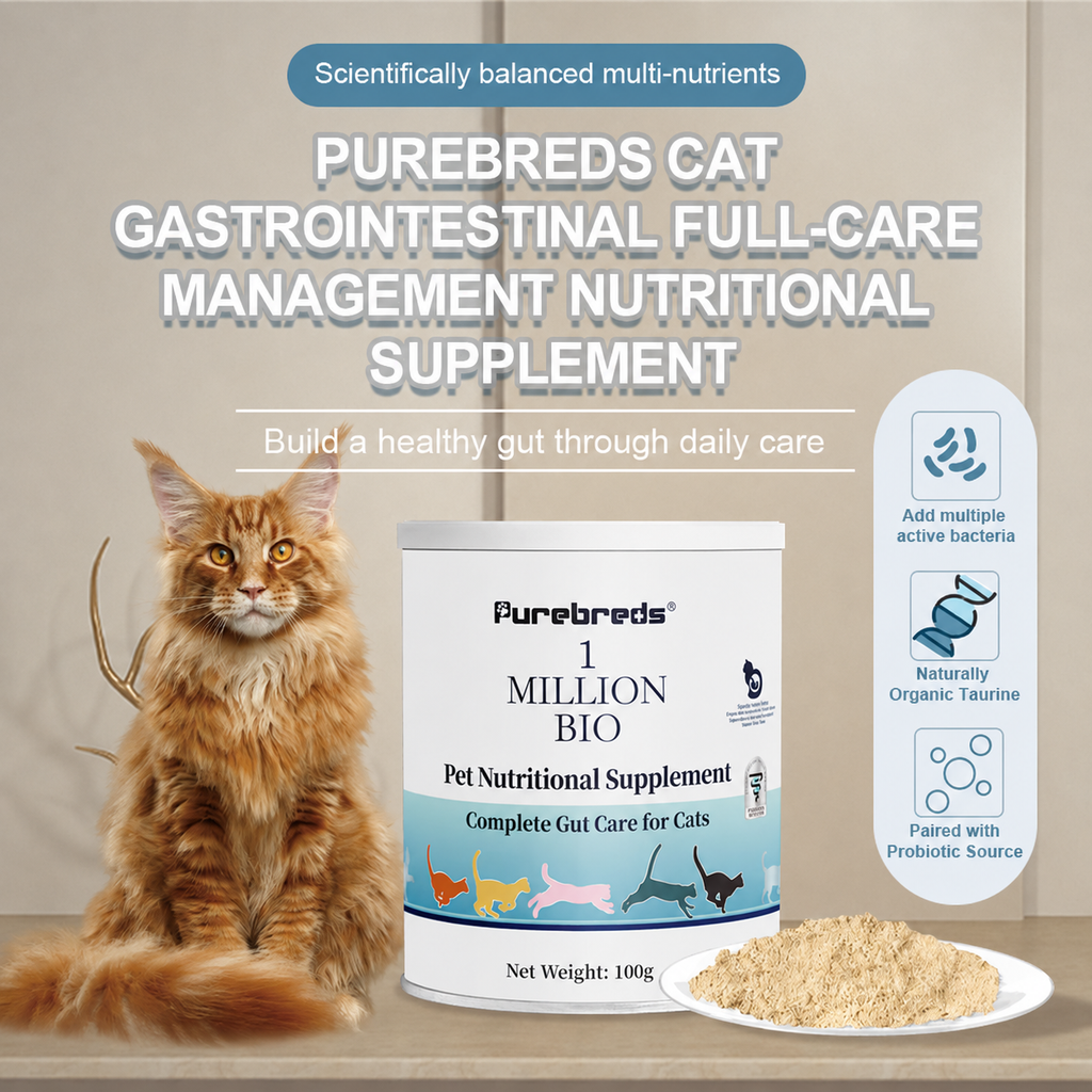 Purebreds feline gut health supplement with cat and powder serving