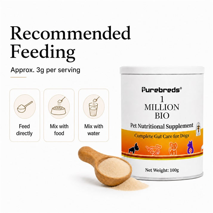 Probiotic & Prebiotic Gut Support Powder for Dogs。