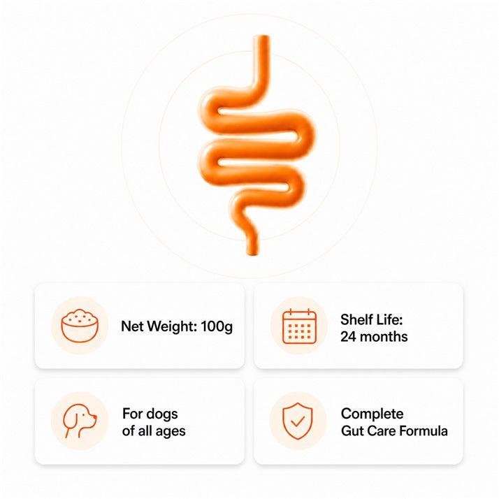 Probiotic & Prebiotic Gut Support Powder for Dogs。