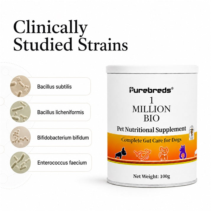 Probiotic & Prebiotic Gut Support Powder for Dogs。