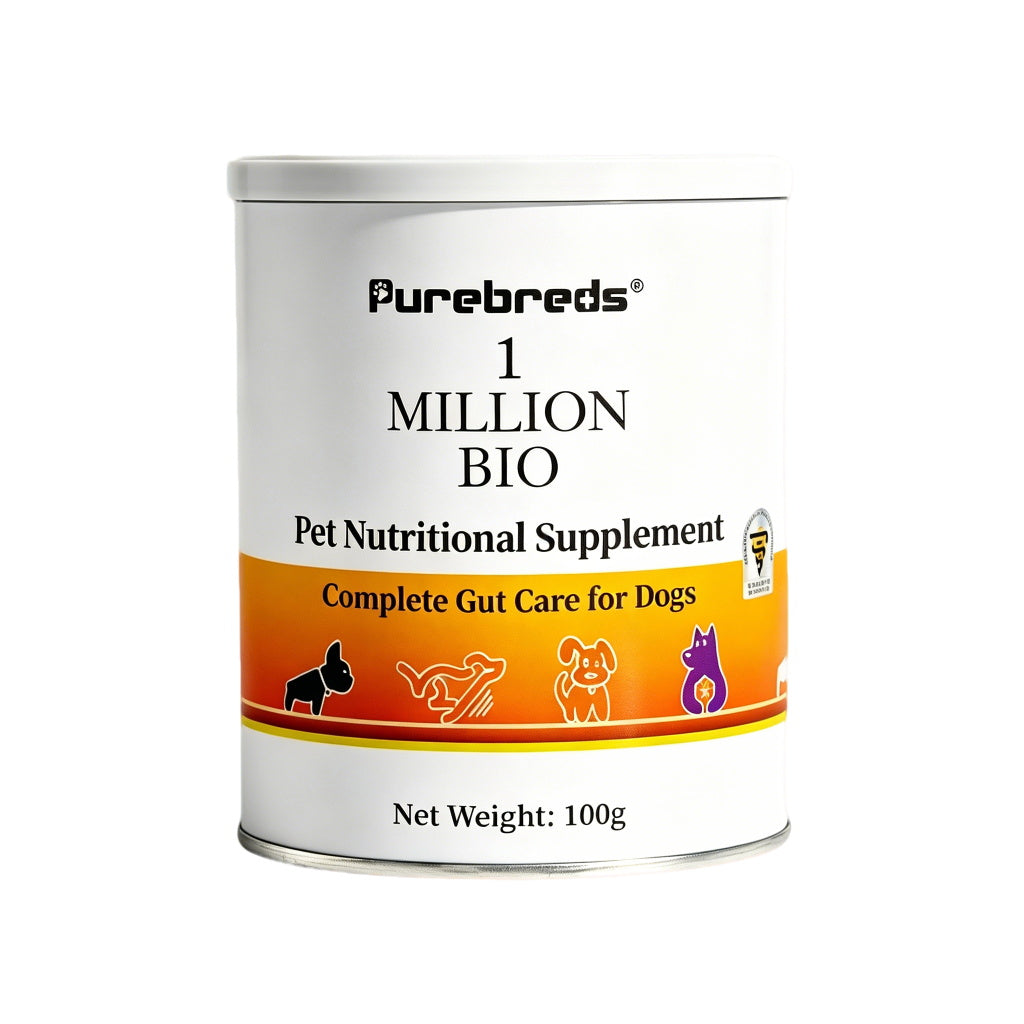 Canine Gut Health Supplement 100g product package front view