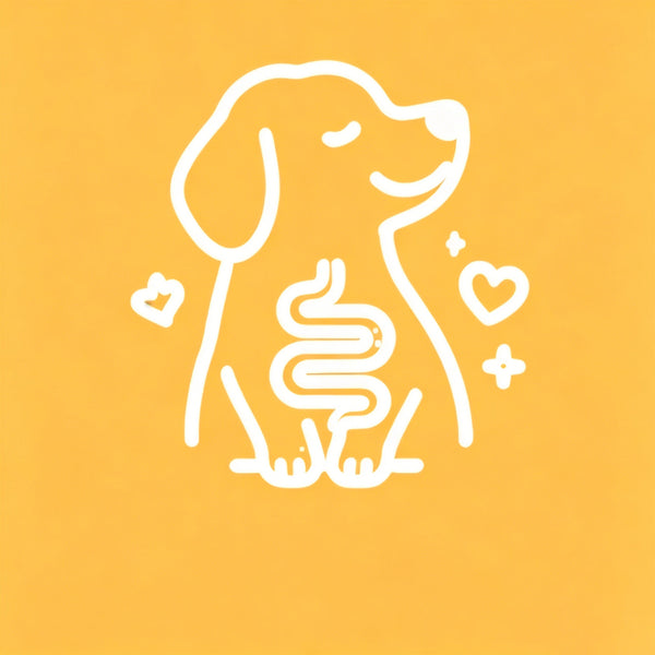 Gut health